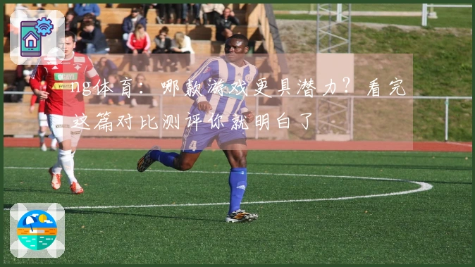 ng体育：哪款游戏更具潜力？看完这篇对比测评你就明白了