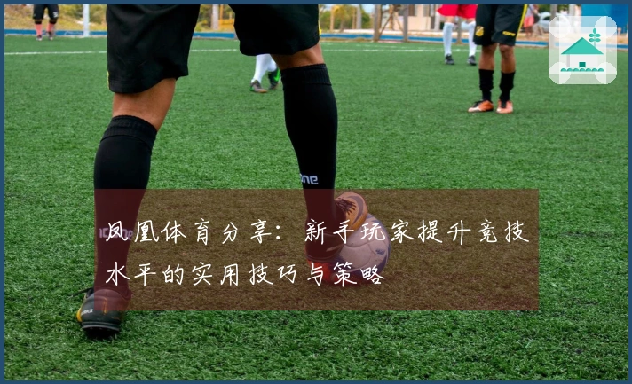 凤凰体育分享：新手玩家提升竞技水平的实用技巧与策略