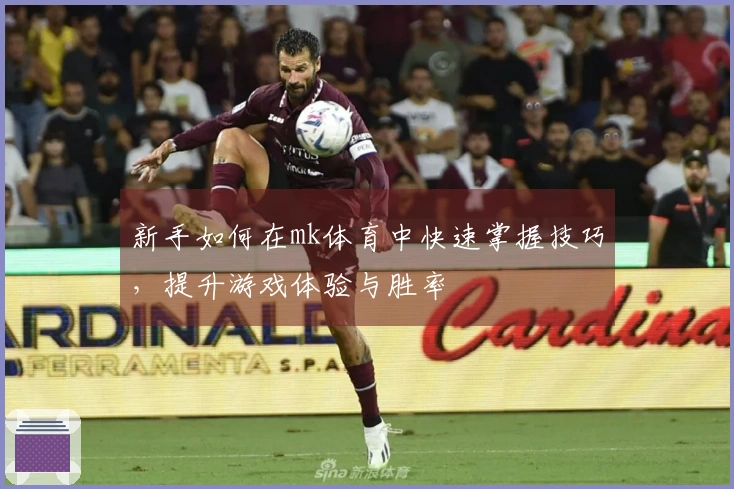 新手如何在mk体育中快速掌握技巧，提升游戏体验与胜率